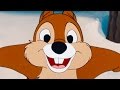 Donald duck  chip n dale  a classic mickey short  have a laugh