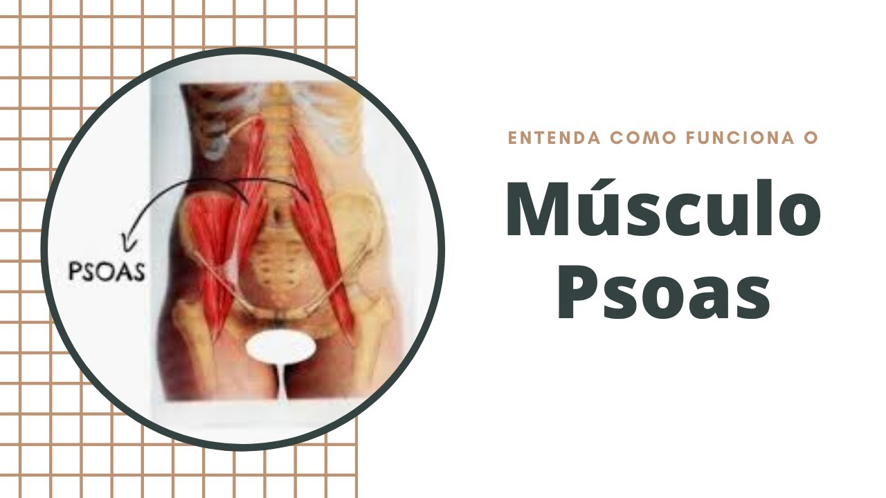 SAIBA PORQUE O PSOAS É O MÚSCULO DA ALMA • FisioStudio Pilates