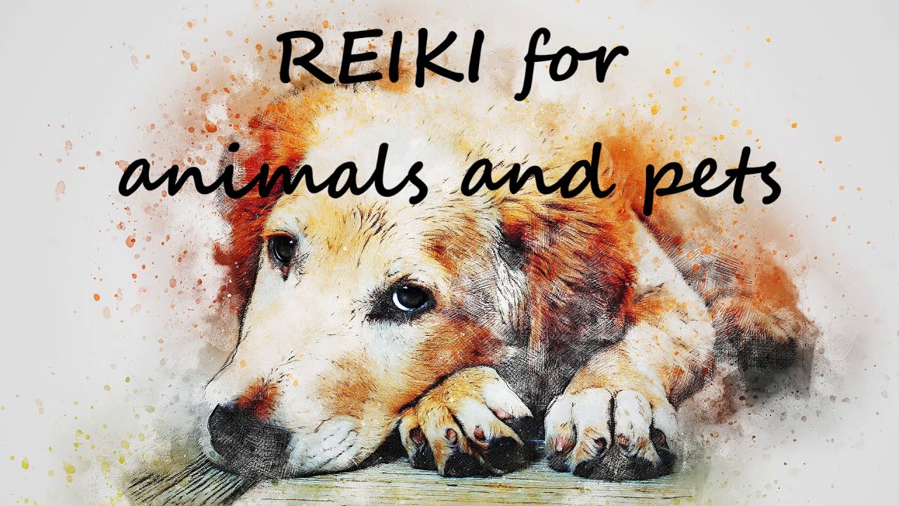 Reiki for Animals | Distance Reiki Healing