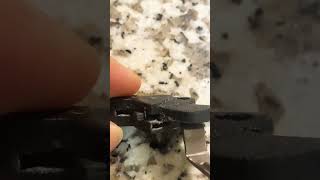 Whos Ready For The Brt Test Fire???