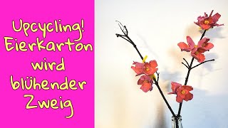 Frühlingsdeko 2023 Eierkarton Wird Zu Blütenzweig Upcycling Ideen