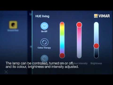 Integration with Philips Hue. Account linking association