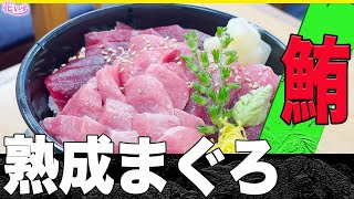 【本マグロ熟成】プロが作る生本マグロ熟成と柵の取り方！秘伝レシピ！