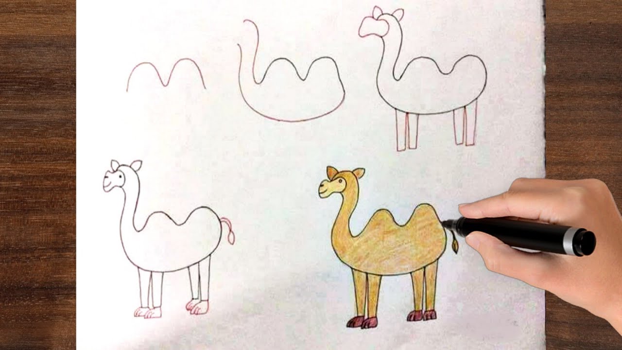 How to Draw a Camel For Kids ! Easy Step by Step ! Animal Drawing ...