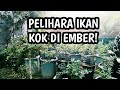 CURANG DALAM PERJUDIAN  film komedi - YouTube