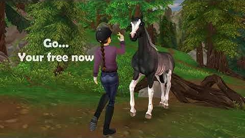 What about us? - Star Stable Music Video -