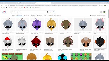 How  make skin in mope.io?