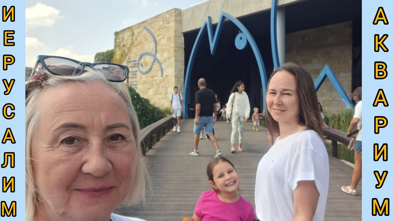 В подводном царстве.Аквариум в Иерусалиме.???????????????????? - YouTube