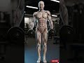 Uneven Shoulders? This Gym Mistake Is Causing It 🚨 part 1 #skeleton #fitness