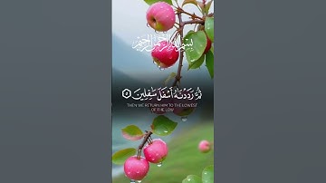 #قرآن #سورةـالثين #قران_كريم #قرآن_كريم #قران #korean #kuran #اكسبلور #duet #ايات #قرأن #سورة#التين