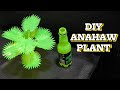 anahaw plant update version diy gawa sa mountain dew bottle reuse reduce recycle