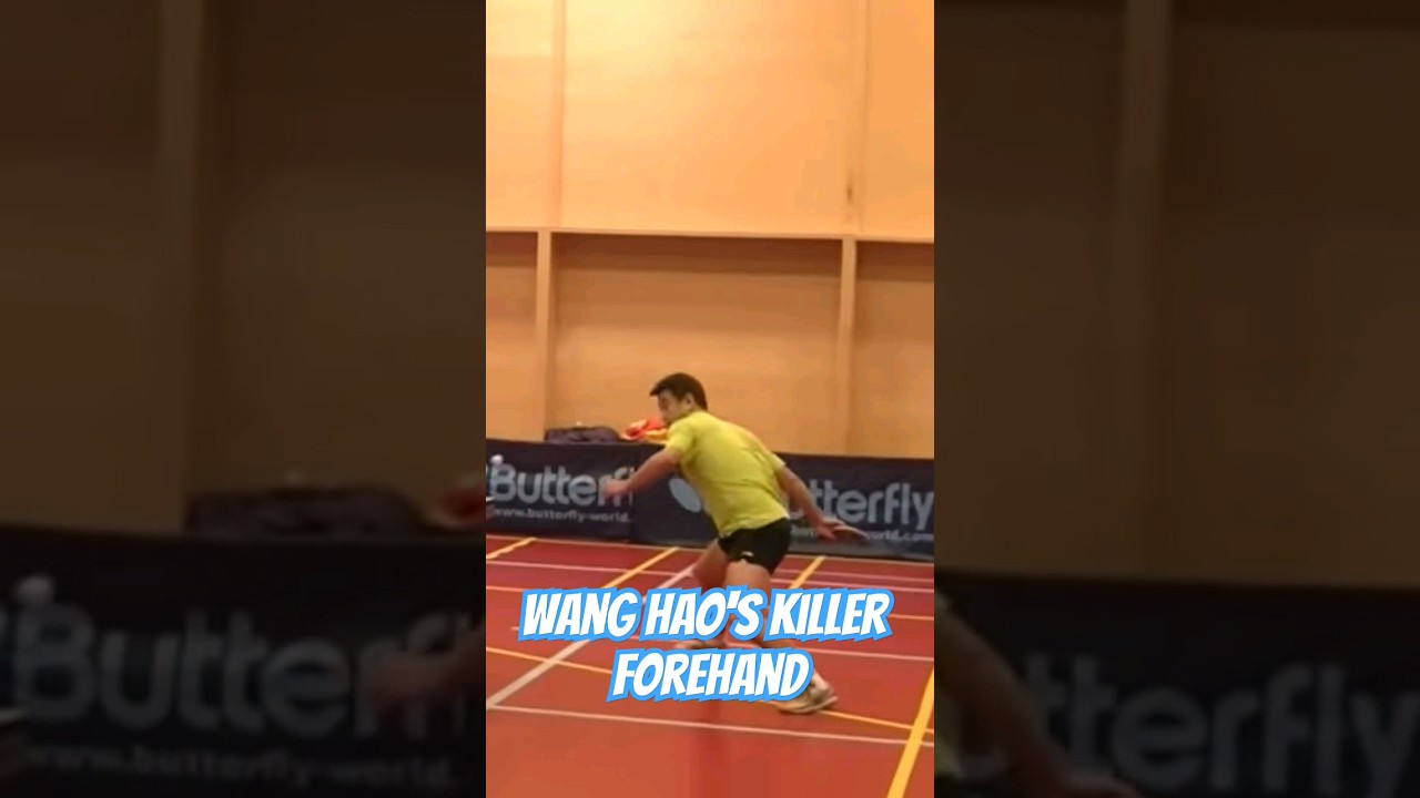 Wang Hao's Killer Forehand