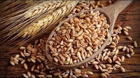Che cosa è il farro?