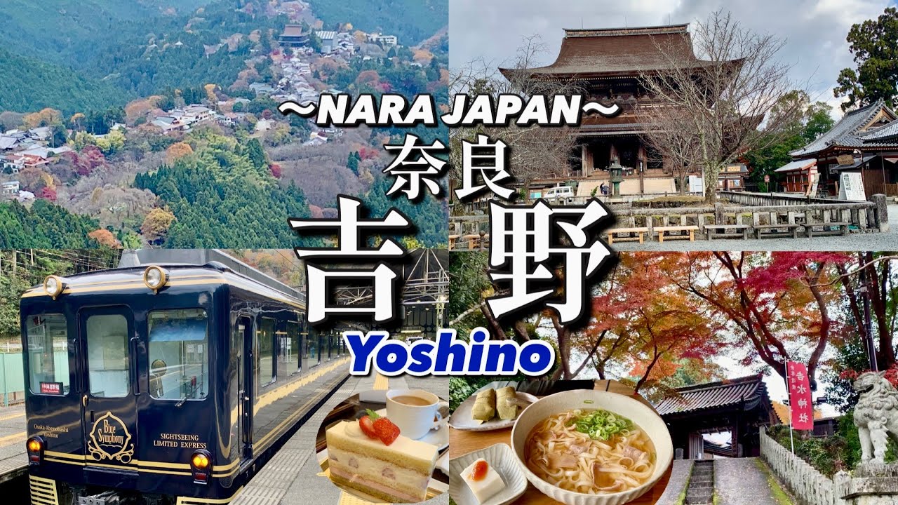 【世界遺産 奈良 吉野　観光特急 青の交響曲に乗車】吉野山の絶景と紅葉・壮大で歴史ある世界遺産・グルメ・上質な観光特急でプチ贅沢な時間を愉しむ