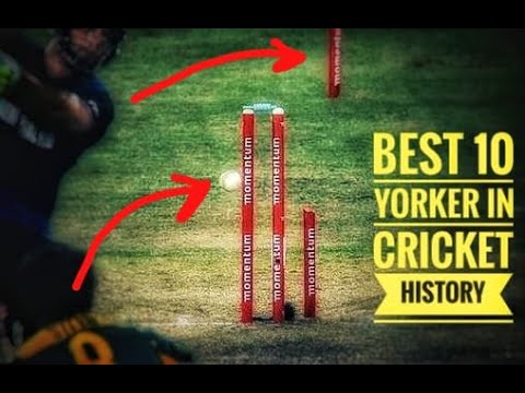 BEST 10 YORKERS IN CRICKET HISTORY - YouTube