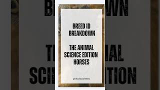 Can You Identify an Appaloosa FFA Horse Evaluation CDE #ffa #appaloosa #ageducation #animalscience