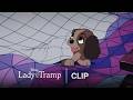 Christmas Day Surprise Lady And The Tramp Official Clip 