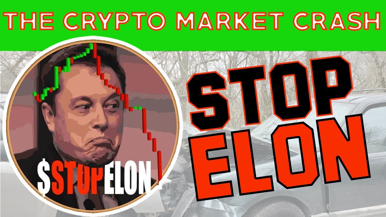 stopelon crypto exchange