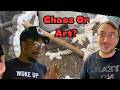 Chaos or Art?! Cage Build Off (Part 1)