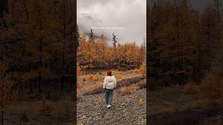 Осень на Алтае самая красивая, что я видела💛/Следующие фитнес туры на Алтай в мае и сентябре/