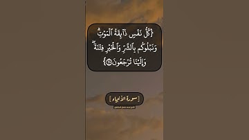 سورة الأنبياء الآية ٣٣ الى ٣٥ بصوت الشيخ محمد صديق المنشاوي