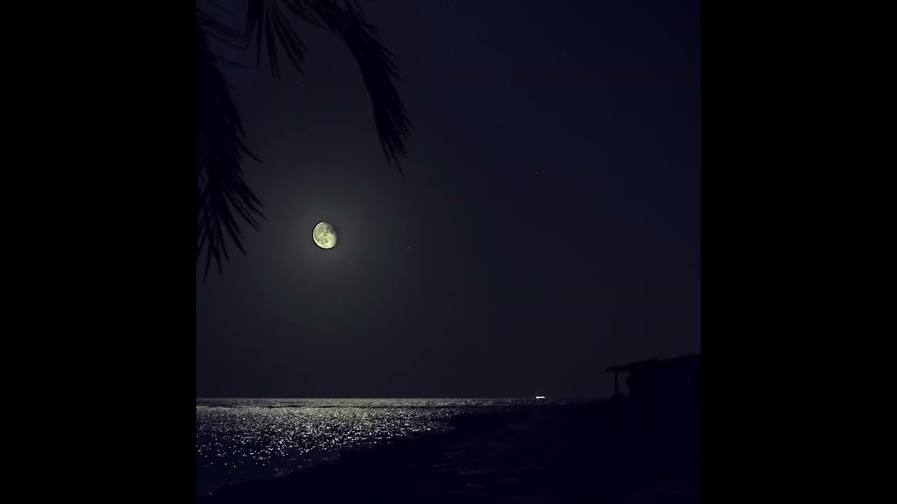 Soft Ocean Wave Sounds | Gentle Waves for Deep Sleep