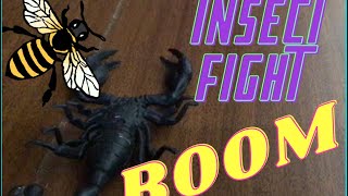 🕷 Insect fight🕷| RRSK stop-motion