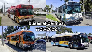 Buses at Cerritos - 7/25/2022