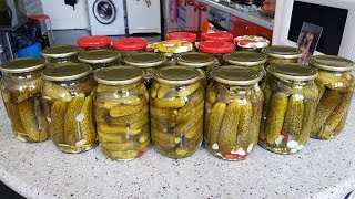 CANNING PICKLED CUCUMBERS
