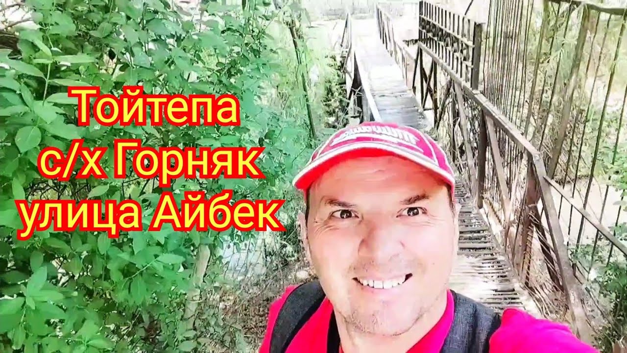 Тойтепа Нурафшон совхоз Горняк улица Айбек