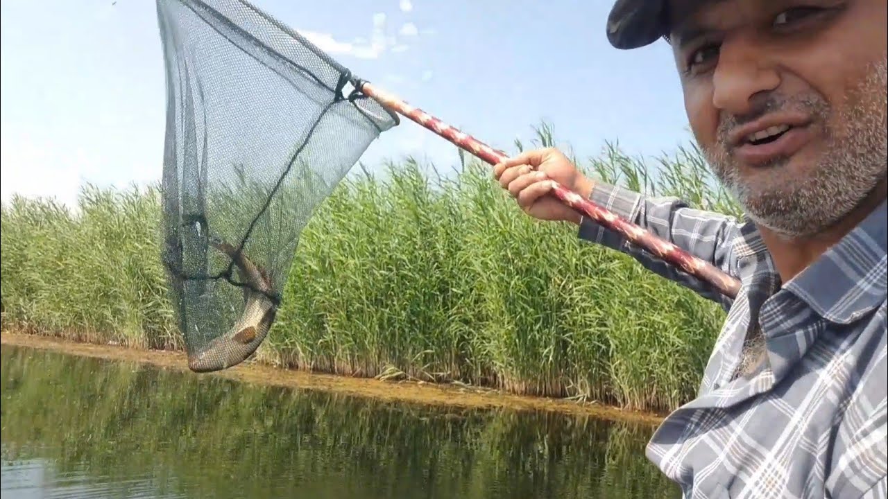 Sınıq körpüdə ÇƏKİ ovu. Şərbət Bozqobuda balıq ovu. Sazan ovu.