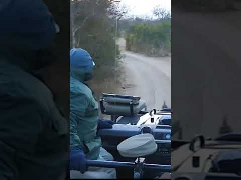 فهد أصابهم بالرعب