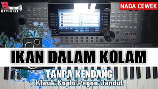 Ikan Dalam Kolam Adella tanpa Kendang