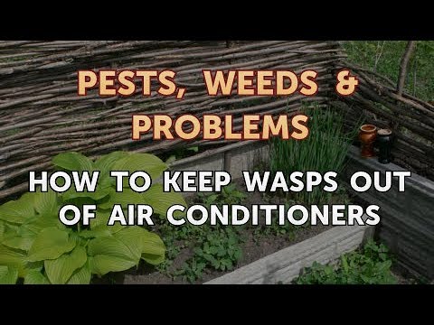 Como manter Wasps fora do ar condicionado