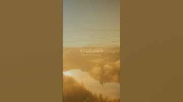 تلاوة خاشعة مؤثرة للشيخ ياسر الدوسري #القرآن_الكريم #ياسر_الدوسري