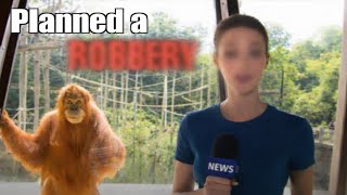 The Secretly Terrifying Intelligence of the Orangutan