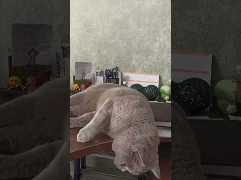 Утренний моцион рядом с мамой!