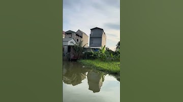 Có Ai Đam Mê Bộ Môn Câu Cá Này Không Nhỉ? #shorts #caulongbocondua #fishing