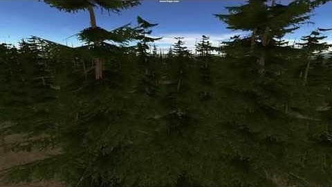 Tree Wind Shader Animation Test II