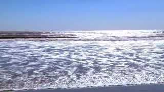 Concord Suites in Avalon New Jersey