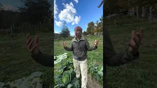 Cultivate abundance with Adamah this Sukkot