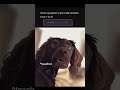 code  #shorts #funny