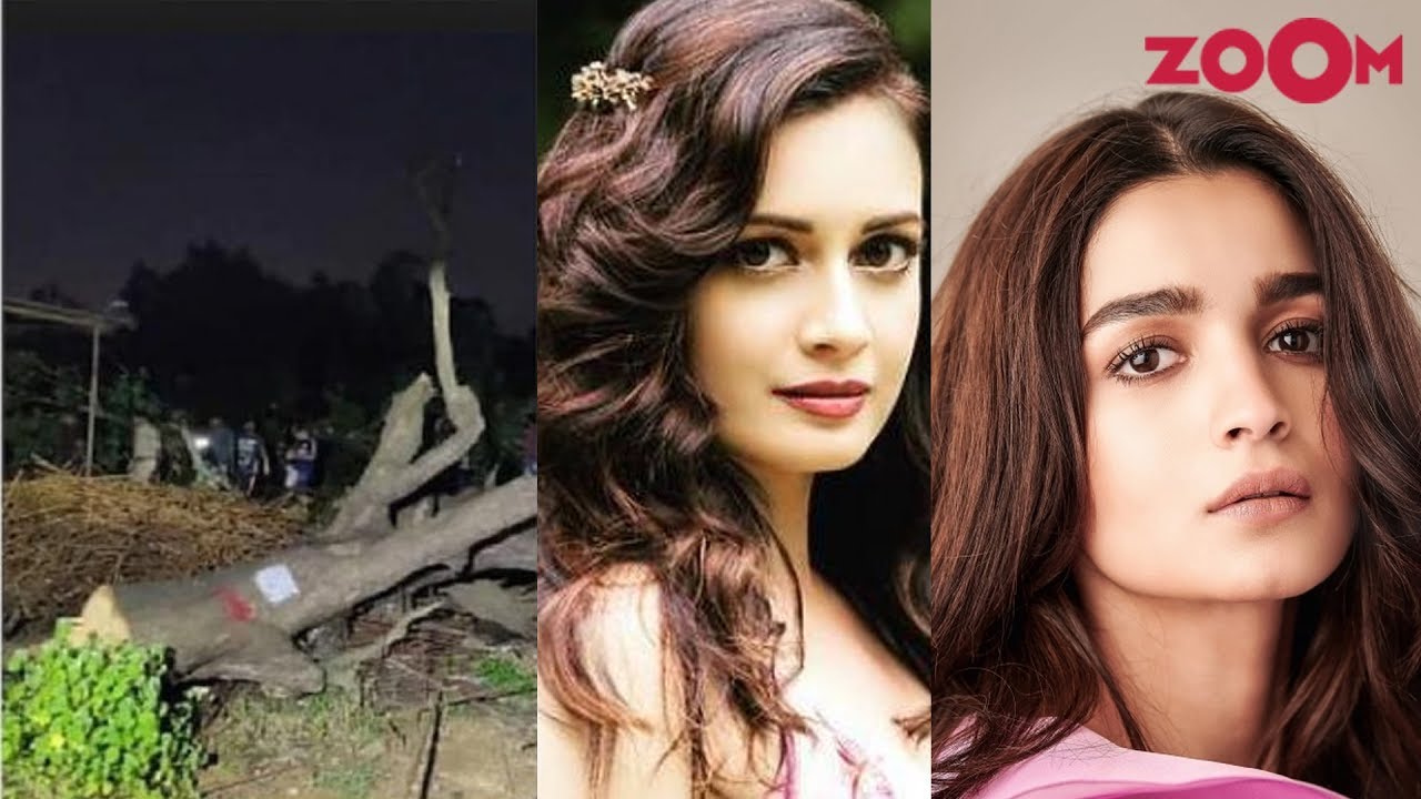 Bollywood celebrities express their anger over felling of trees in Aarey Colony | Bollywood News