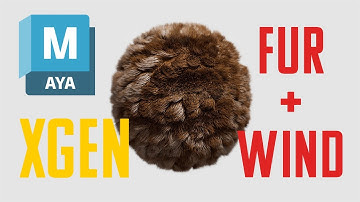 Maya XGen Tutorial: Wind Effect on Fur