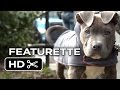 The Drop Featurette - Rocco The Dog (2014) - James Gandolfini, Tom Hardy Movie HD