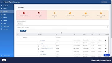 Securing MSP Client Endpoints with OneView