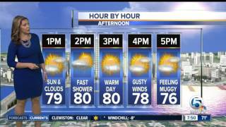 South Florida weather 3/25/17 - 7am report