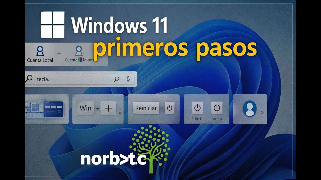 👉 Windows 11 desde CERO: Primeros pasos, cuentas, menú Inicio y multitarea