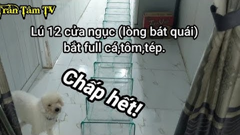 Review Lú 12 cửa ngục lồng bát quái dài 10M Trần Tâm TV