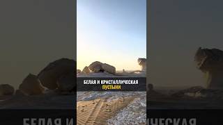 БЕЛАЯ И КРИСТАЛЛИЧЕСКАЯ пустыни #аланмамиев #египет #пробуждение